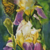 Irises With Butterflies Diamond Painting