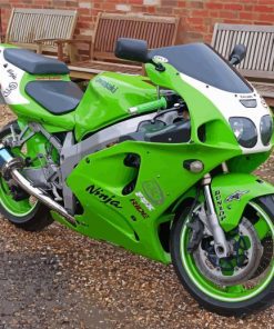 Kawasaki Ninja Diamond Painting