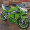 Kawasaki Ninja Diamond Painting