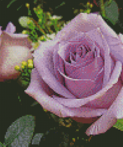 Lilac Rose Diamond Painting