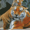 Tiger And Baby Diamond Painting