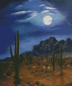 McCown Desert Diamond Painting