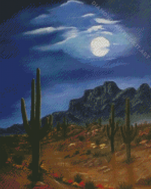 McCown Desert Diamond Painting