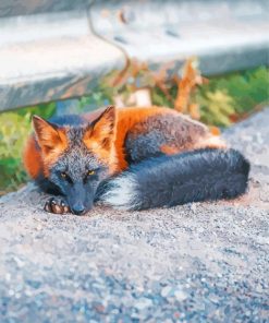 Melanistic Fox Diamond Painting