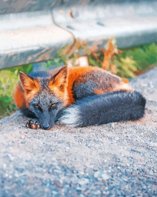 Melanistic Fox Diamond Painting