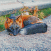 Melanistic Fox Diamond Painting