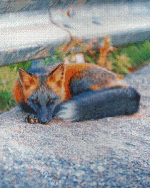 Melanistic Fox Diamond Painting