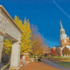 Wake forest University Diamond Painting