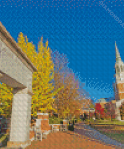 Wake forest University Diamond Painting