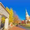 Wake forest University Diamond Painting