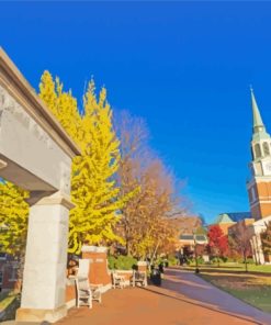 Wake forest University Diamond Painting