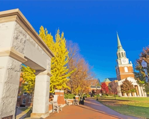 Wake forest University Diamond Painting