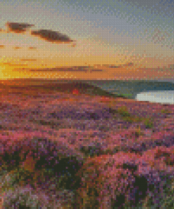 North York Moors Diamond Painting