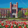 Oklahoma University Diamond Painting