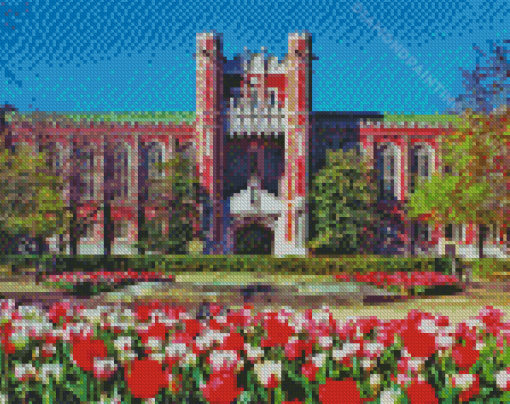 Oklahoma University Diamond Painting