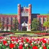 Oklahoma University Diamond Painting