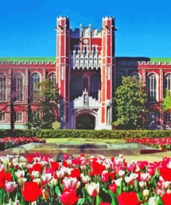 Oklahoma University Diamond Painting