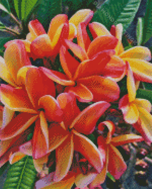 Plumeria Plants Diamond Painting