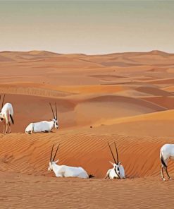 Oryx In Dubai Diamond Painting