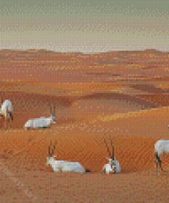 Oryx In Dubai Diamond Painting