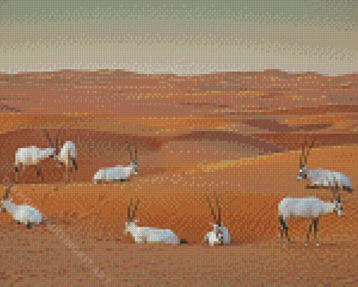 Oryx In Dubai Diamond Painting