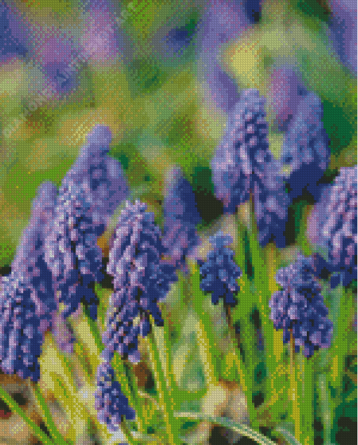 Hyacinth Flower Diamond Painting