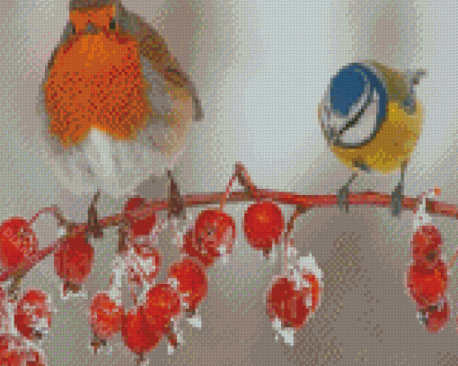 Robin And Blue Tit Diamond Painting