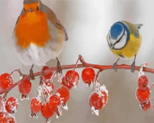 Robin And Blue Tit Diamond Painting