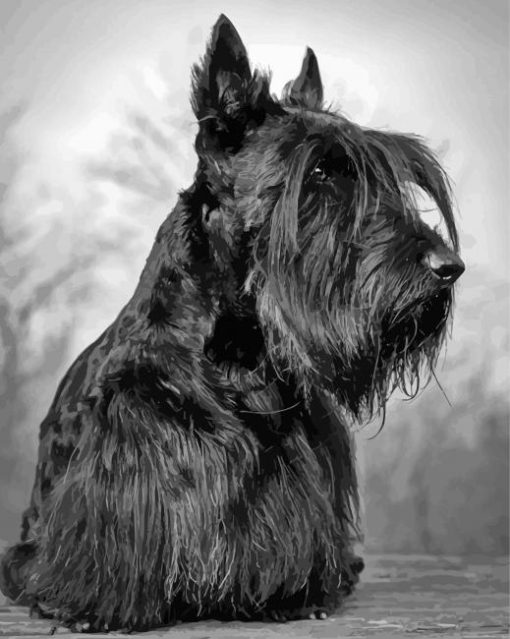 Scottish Terrier Diamond Painting