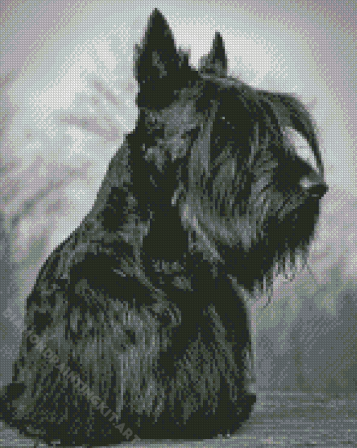 Scottish Terrier Diamond Painting