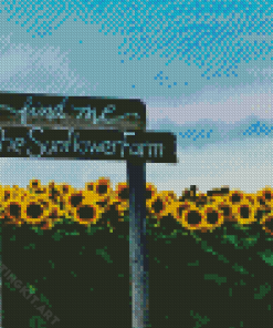 Sunflower Field Diamond Painting