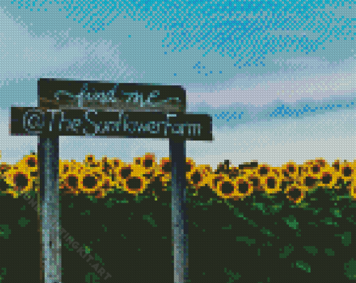 Sunflower Field Diamond Painting