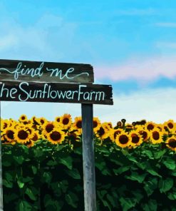 Sunflower Field Diamond Painting