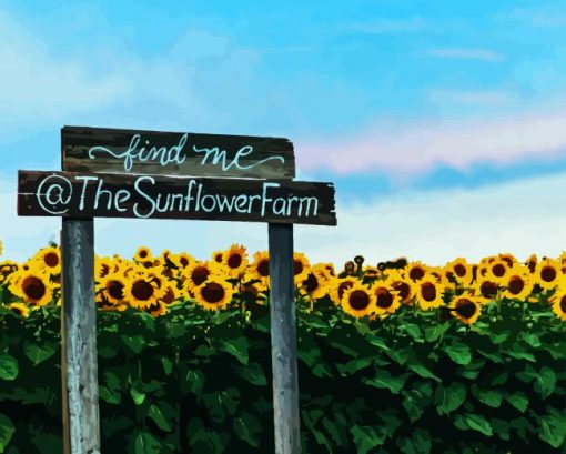 Sunflower Field Diamond Painting