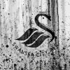 Swansea City Diamond Painting