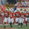 Texas Longhorns Diamond Painting