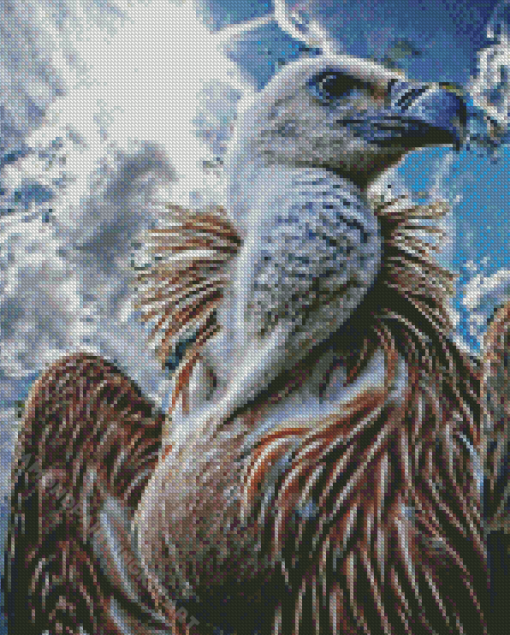 The Himalayan Griffon Diamond Painting