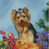 The Yorkshire Terrier Diamond Painting