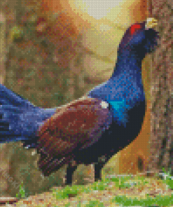 Western Capercaillie Diamond Painting