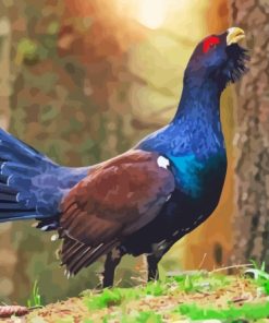 Western Capercaillie Diamond Painting