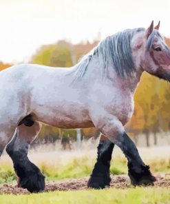 Draft Horse Diamond Painting