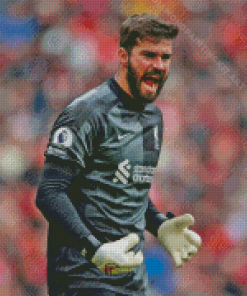 Alisson Becker Diamond Painting