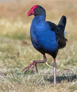 Australasian Swamphen Diamond Painting