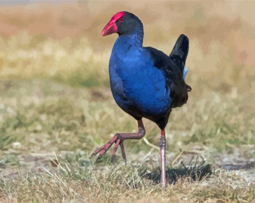 Australasian Swamphen Diamond Painting