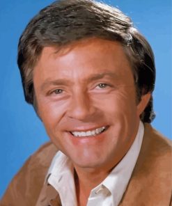 Bill Bixby Diamond Painting