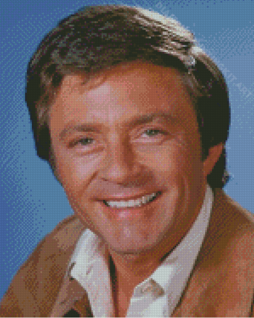 Bill Bixby Diamond Painting