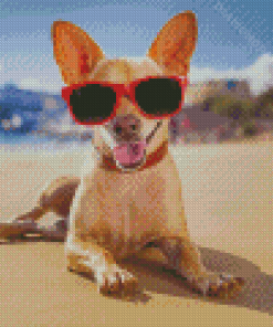 Dog In Beach Diamond Painting