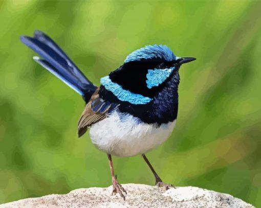 Fairy Wren Bird Diamond Painting