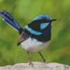 Fairy Wren Bird Diamond Painting