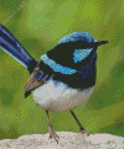 Fairy Wren Bird Diamond Painting